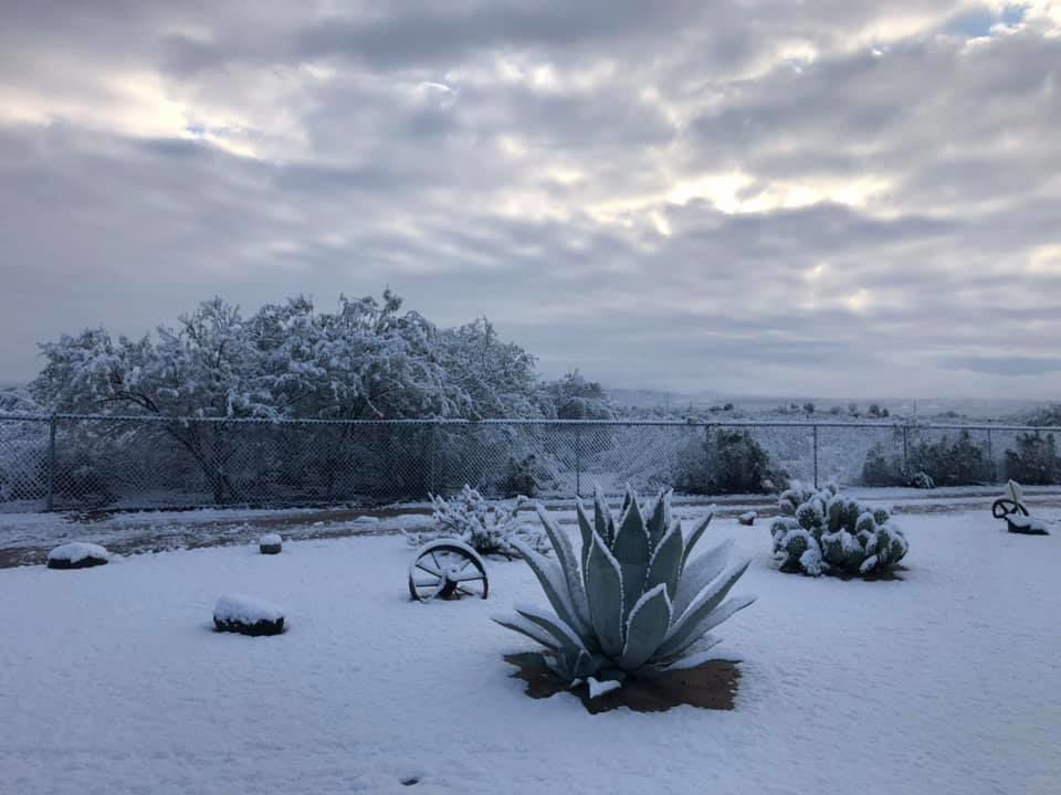 Snow in Sahuarita